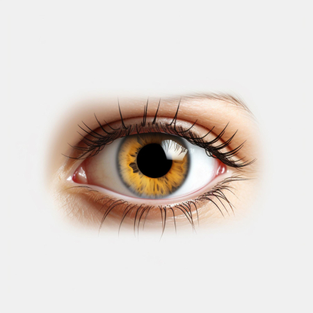 Steriles Viskoelastisches Ophthalmisches Viskochirurgisches Gerät